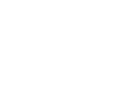 Logo The LINKS